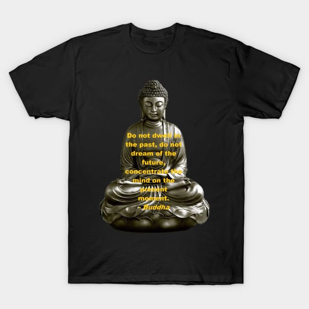 Buddha - Do Not Dwell in the Past T-Shirt by jmtaylor